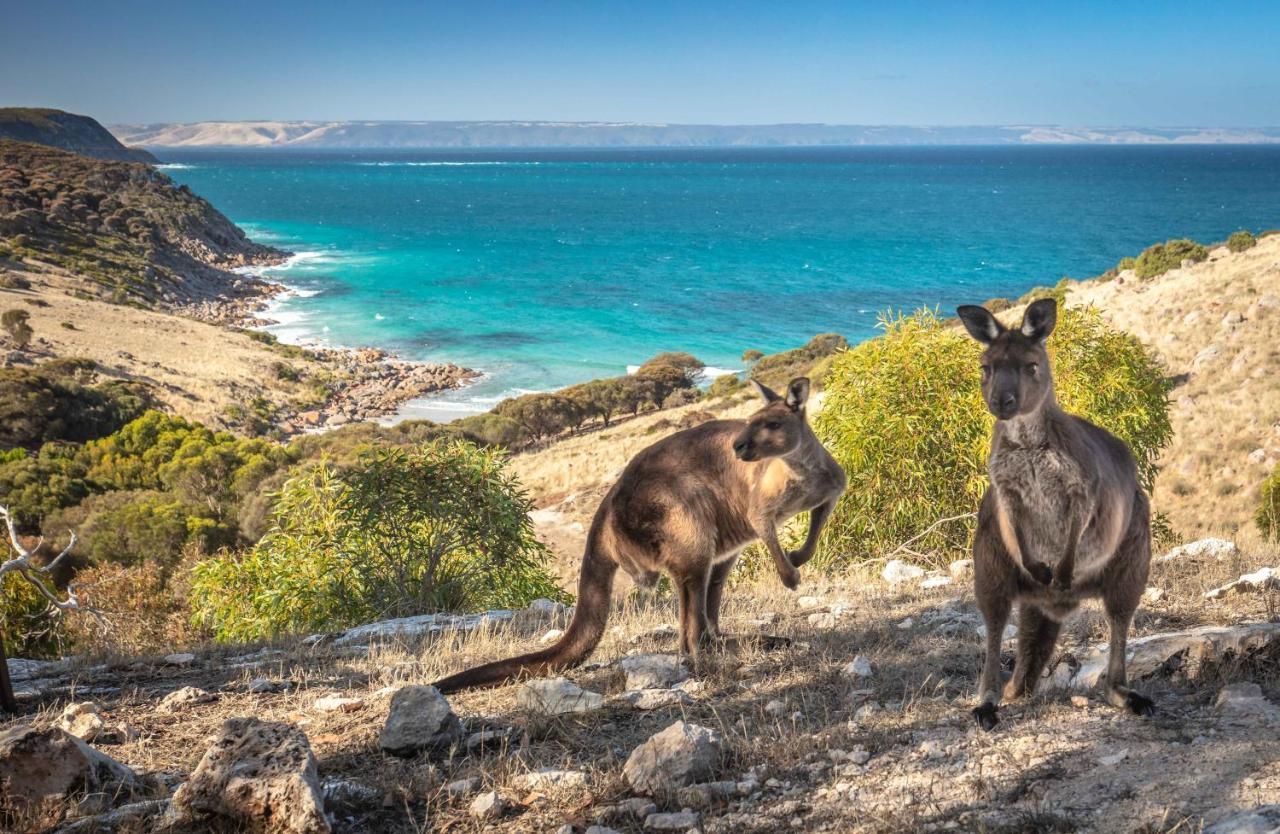 Sea Dragon Kangaroo Island Penneshaw Ngoại thất bức ảnh