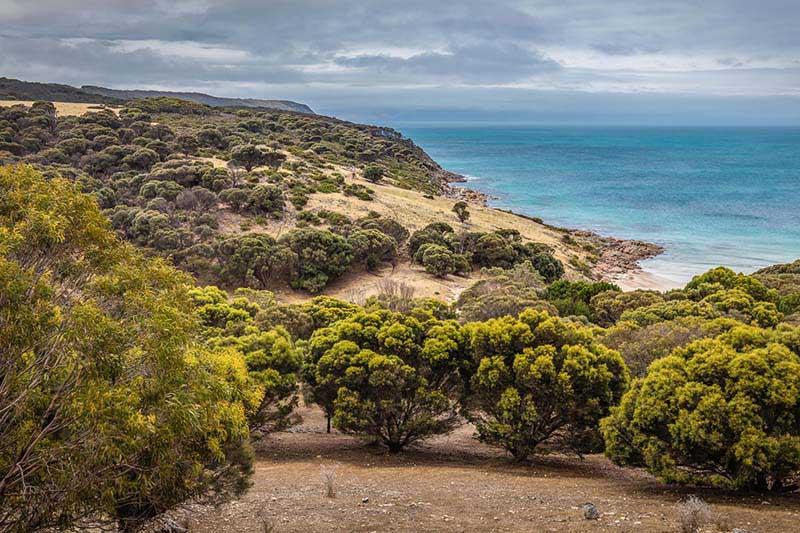 Sea Dragon Kangaroo Island Penneshaw Ngoại thất bức ảnh